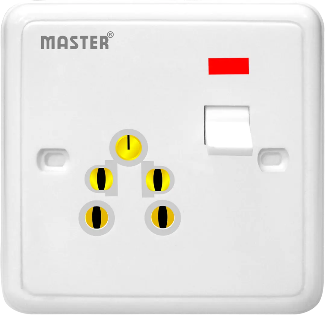 light plug Senior Porcelain  13A